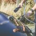 The Evolution Of Charging Stations: Transforming The Landscape Of EV Charging EV Charging